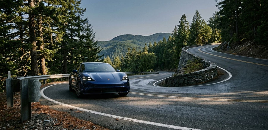 EV-rijders rijden door bergwegen in Ardennen met bossen en uitzicht