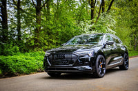 Ricardo - Audi Q8 e-tron